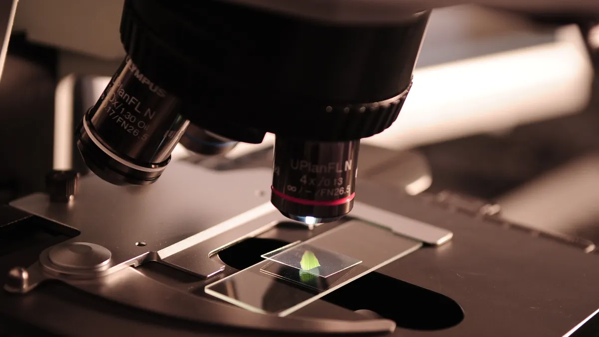Biology Homeschool Kits: What to Look for Before You Buy